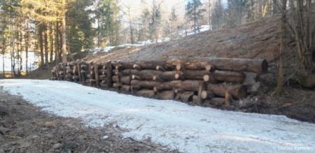 Sanacija plazu na gozdni cesti Vrtače-Golob (1)
